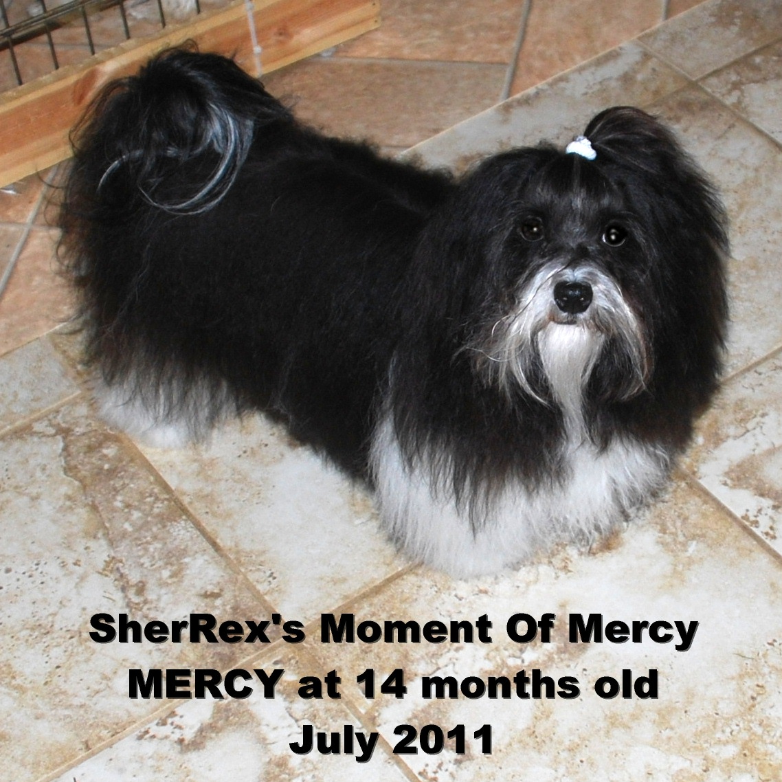 Mercy at 14 months